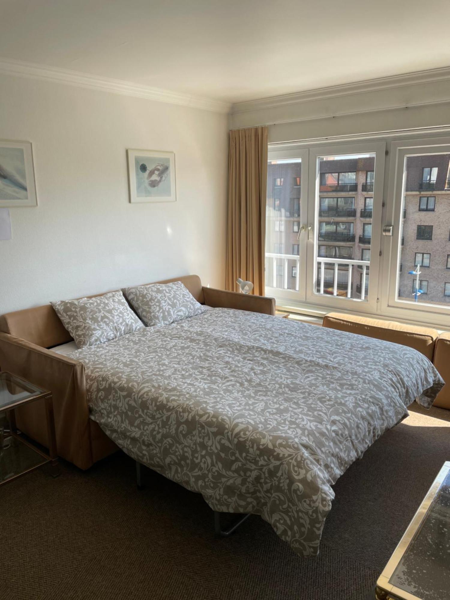 Zonnige Mermoz Koksijde-bad Appartement